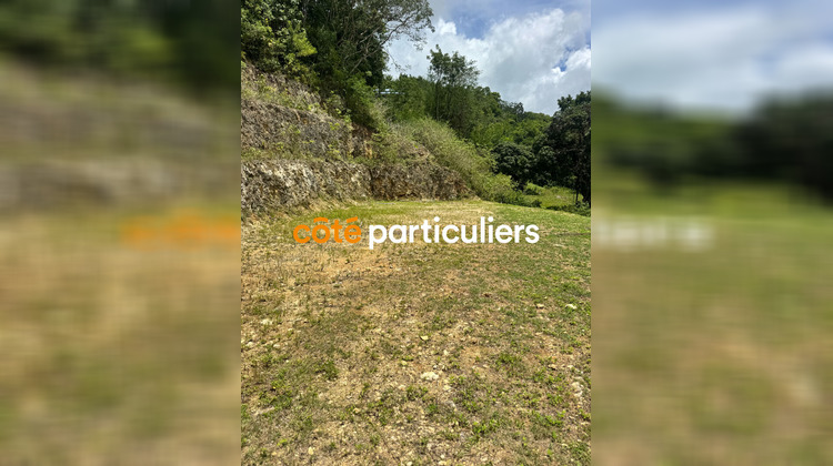 Ma-Cabane - Vente Terrain GOSIER, 1000 m²