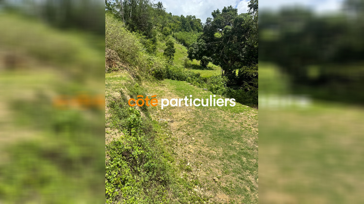 Ma-Cabane - Vente Terrain GOSIER, 1000 m²