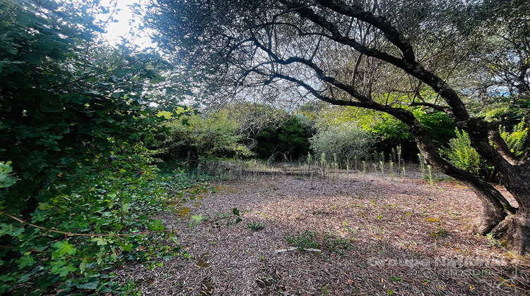 Ma-Cabane - Vente Terrain GOUDARGUES, 360 m²