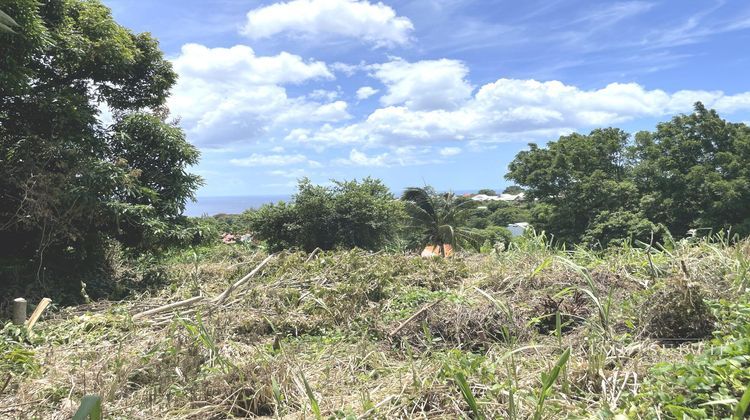 Ma-Cabane - Vente Terrain Gourbeyre, 546 m²