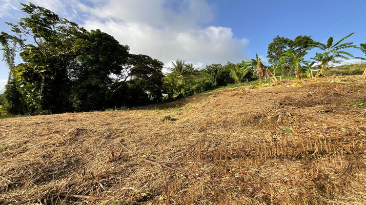 Ma-Cabane - Vente Terrain GOURBEYRE, 1111 m²