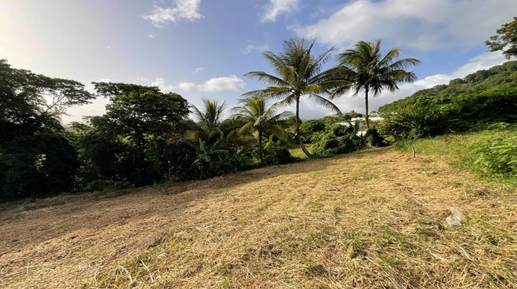 Ma-Cabane - Vente Terrain GOURBEYRE, 1111 m²