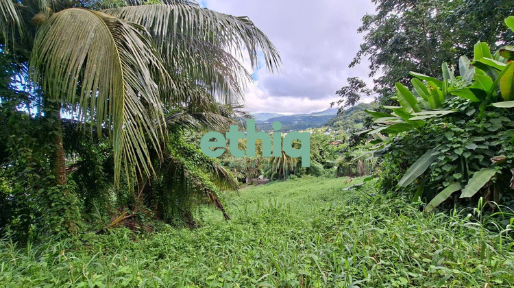 Ma-Cabane - Vente Terrain Gourbeyre, 950 m²