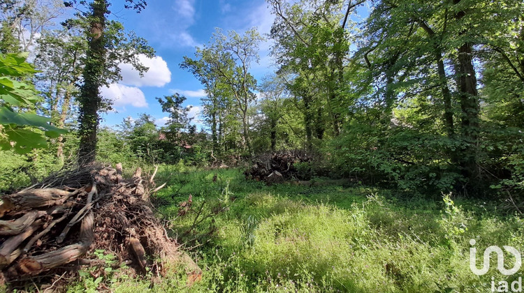 Ma-Cabane - Vente Terrain Gouvieux, 2595 m²