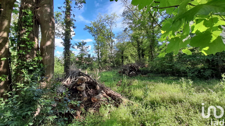 Ma-Cabane - Vente Terrain Gouvieux, 2595 m²