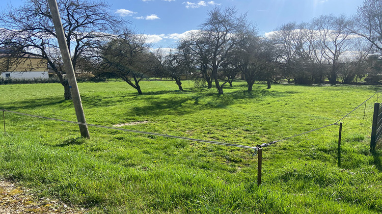 Ma-Cabane - Vente Terrain GOVILLER, 984 m²