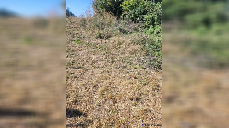 Ma-Cabane - Vente Terrain Grainville-Langannerie, 4536 m²