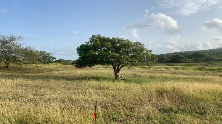 Ma-Cabane - Vente Terrain GRAND-BOURG, 1000 m²