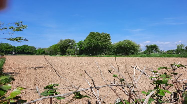 Ma-Cabane - Vente Terrain Grandparigny, 1000 m²