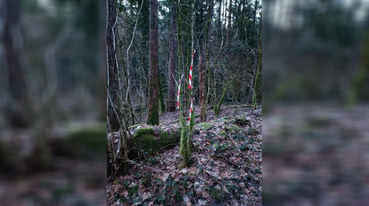 Ma-Cabane - Vente Terrain Grange-de-Vaivre, 6175 m²