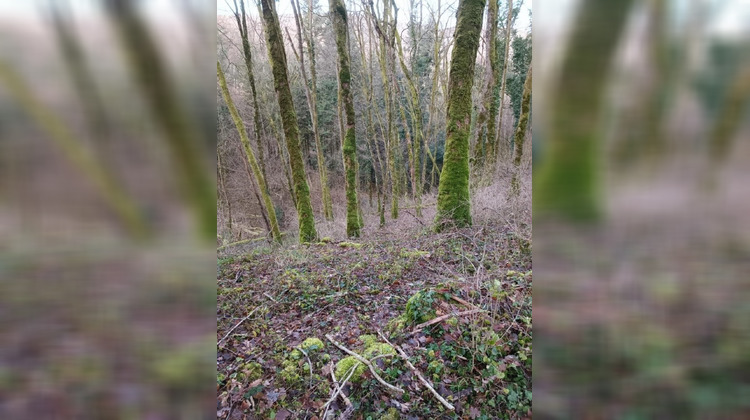 Ma-Cabane - Vente Terrain Grange-de-Vaivre, 6175 m²