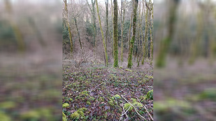 Ma-Cabane - Vente Terrain Grange-de-Vaivre, 6175 m²