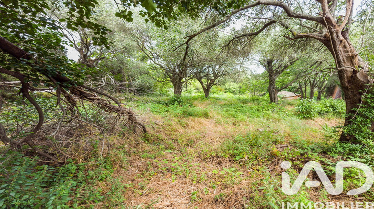 Ma-Cabane - Vente Terrain Grasse, 846 m²