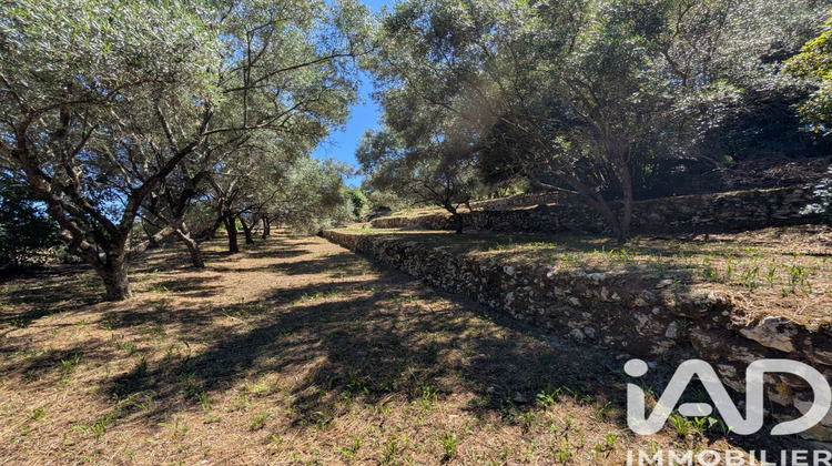 Ma-Cabane - Vente Terrain Grasse, 1049 m²