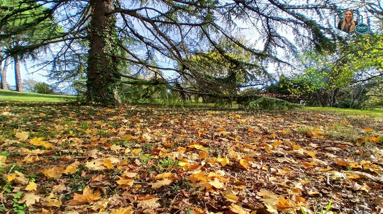 Ma-Cabane - Vente Terrain Gratentour, 984 m²