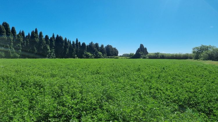 Ma-Cabane - Vente Terrain GRAVESON, 13210 m²