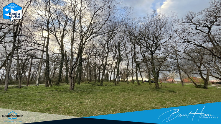 Ma-Cabane - Vente Terrain GRAZAC, 1700 m²