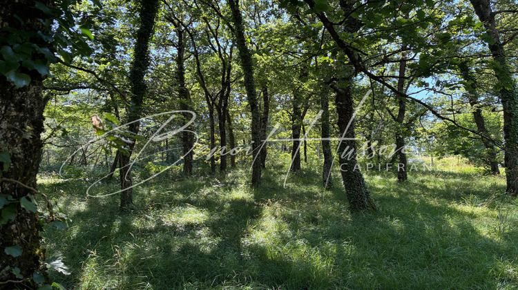 Ma-Cabane - Vente Terrain GRAZAC, 1768 m²