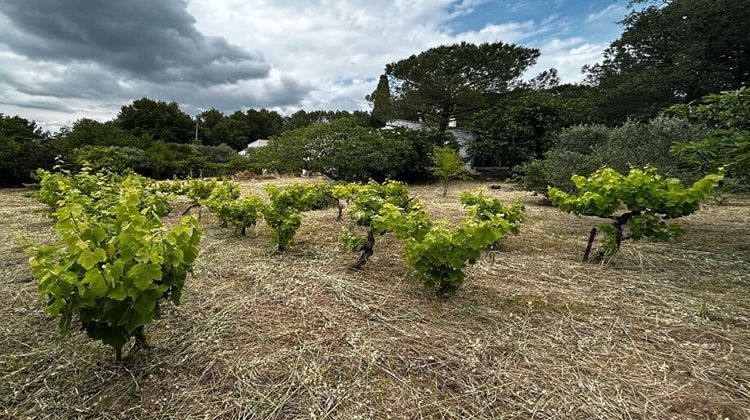 Ma-Cabane - Vente Terrain Gréasque, 348 m²