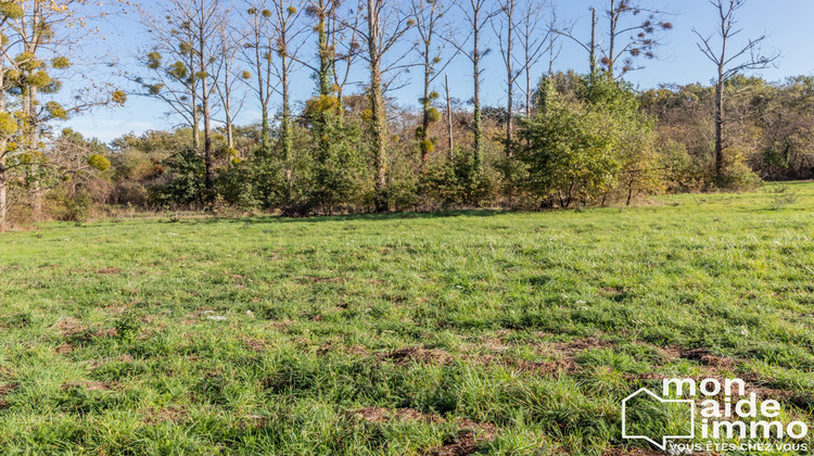 Ma-Cabane - Vente Terrain Grignols, 3682 m²