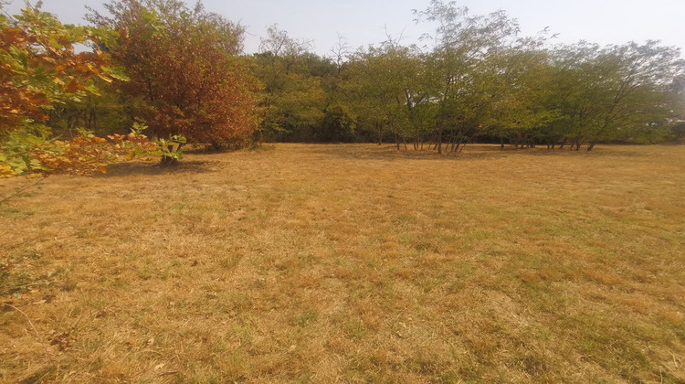 Ma-Cabane - Vente Terrain GRIGNOLS, 0 m²