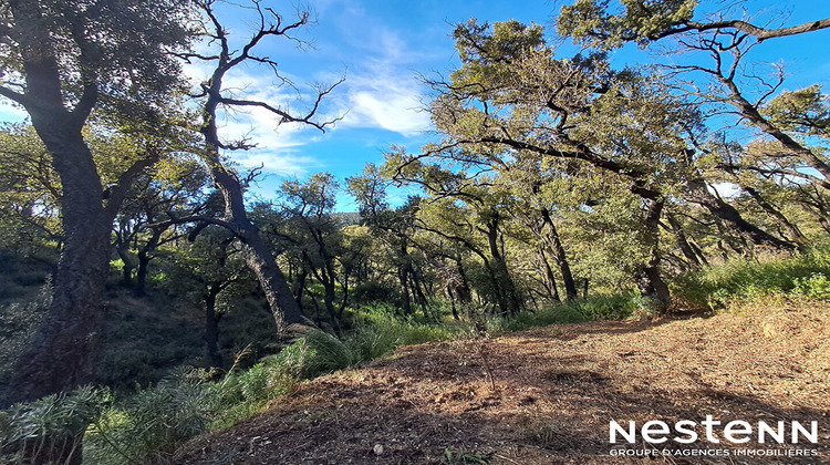 Ma-Cabane - Vente Terrain GRIMAUD, 1800 m²