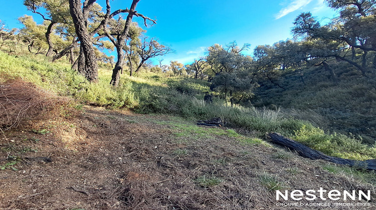 Ma-Cabane - Vente Terrain GRIMAUD, 1800 m²