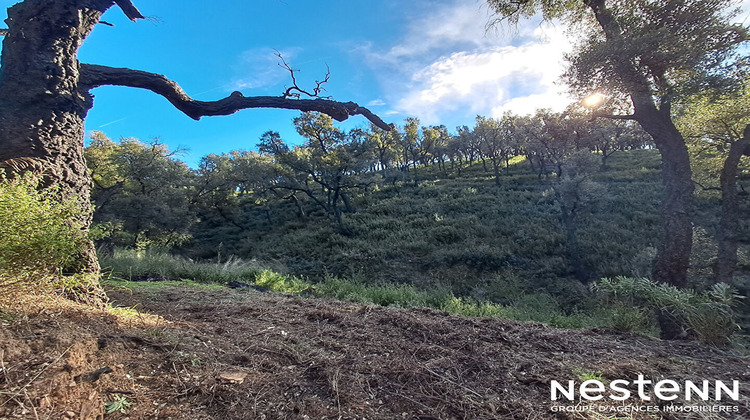 Ma-Cabane - Vente Terrain GRIMAUD, 1800 m²