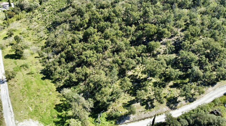 Ma-Cabane - Vente Terrain Grimaud, 6922 m²