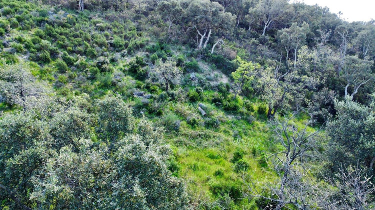 Ma-Cabane - Vente Terrain Grimaud, 6922 m²