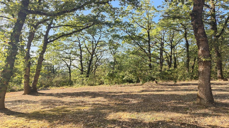 Ma-Cabane - Vente Terrain GRISOLLES, 2000 m²