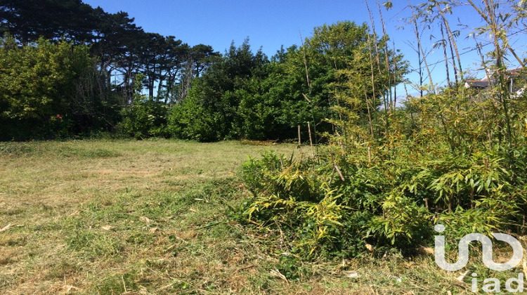 Ma-Cabane - Vente Terrain Groix, 1030 m²