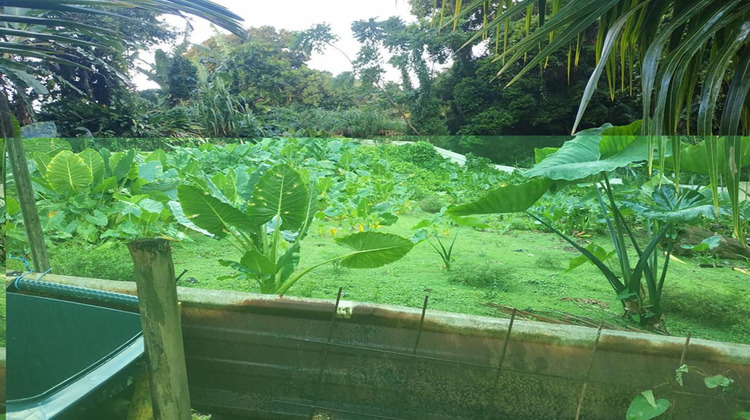 Ma-Cabane - Vente Terrain GROS MORNE, 500 m²