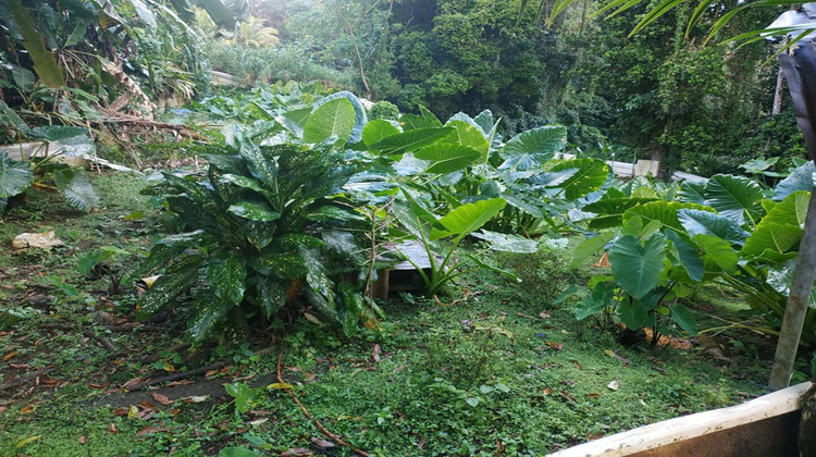 Ma-Cabane - Vente Terrain GROS MORNE, 500 m²