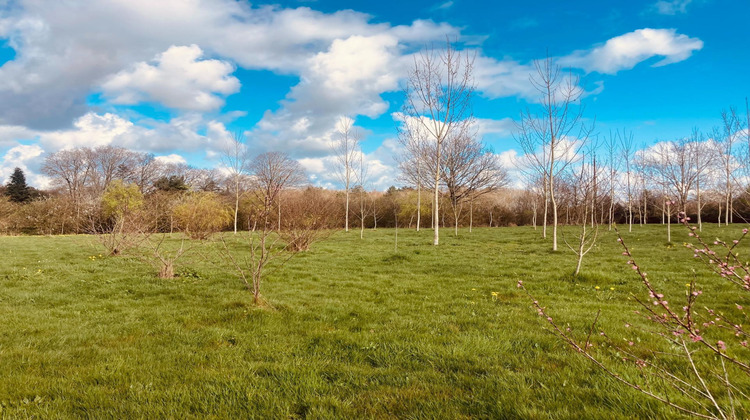 Ma-Cabane - Vente Terrain Grosbreuil, 5720 m²