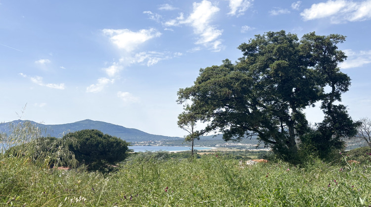 Ma-Cabane - Vente Terrain Grosseto-Prugna, 746 m²