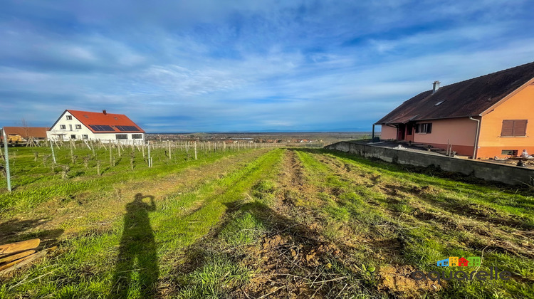 Ma-Cabane - Vente Terrain Gueberschwihr, 1165 m²