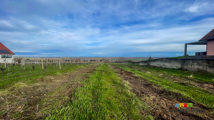 Ma-Cabane - Vente Terrain Gueberschwihr, 1165 m²