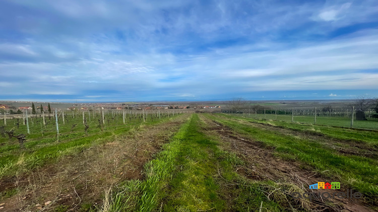 Ma-Cabane - Vente Terrain Gueberschwihr, 1165 m²