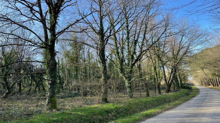 Ma-Cabane - Vente Terrain GUER, 11290 m²