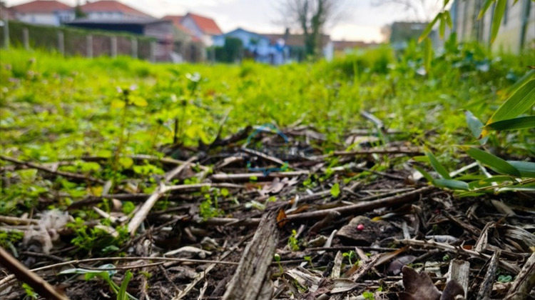 Ma-Cabane - Vente Terrain GUJAN MESTRAS, 810 m²