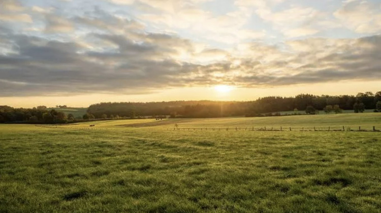 Ma-Cabane - Vente Terrain Hagen, 653 m²