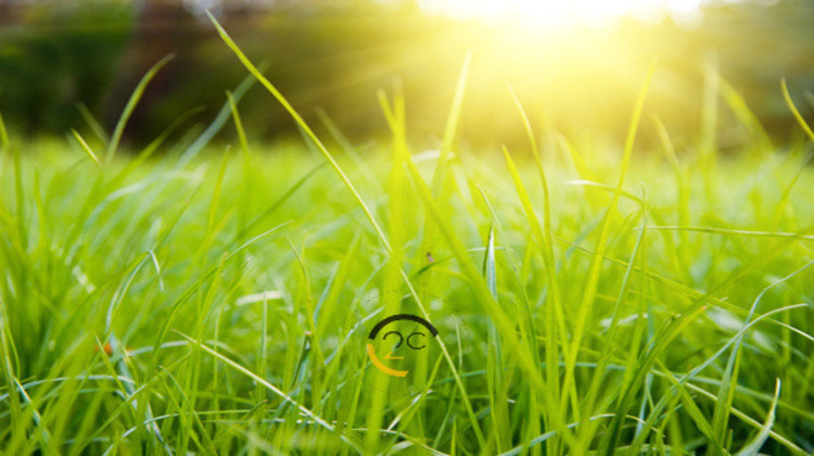 Ma-Cabane - Vente Terrain Haucourt-Moulaine, 735 m²