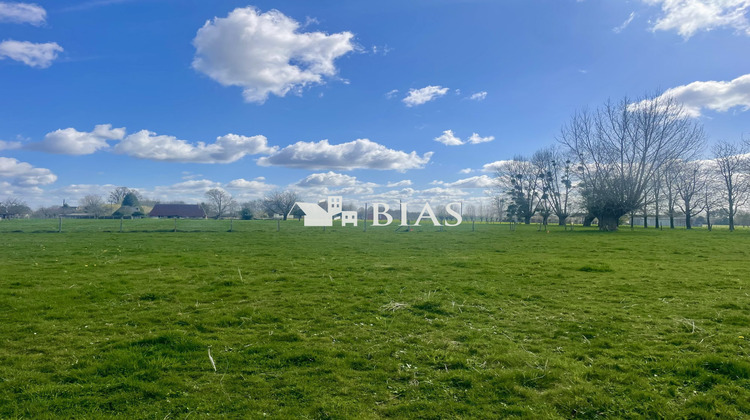 Ma-Cabane - Vente Terrain Hauville, 1152 m²