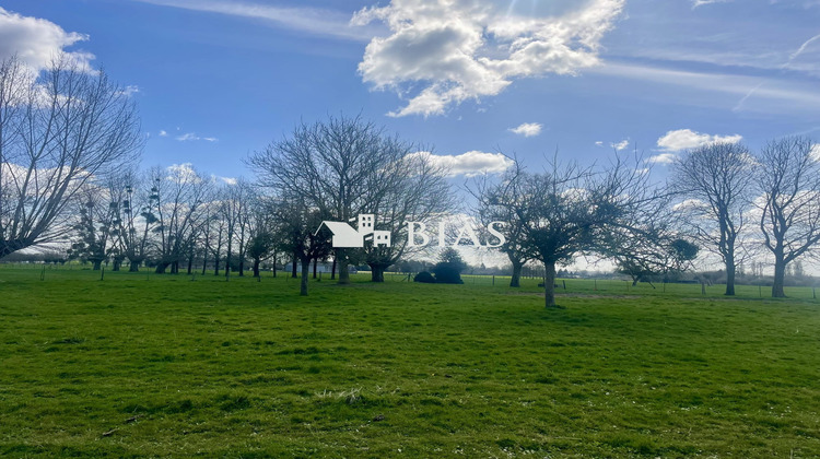 Ma-Cabane - Vente Terrain Hauville, 3187 m²