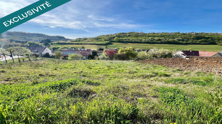 Ma-Cabane - Vente Terrain Hayange, 1012 m²