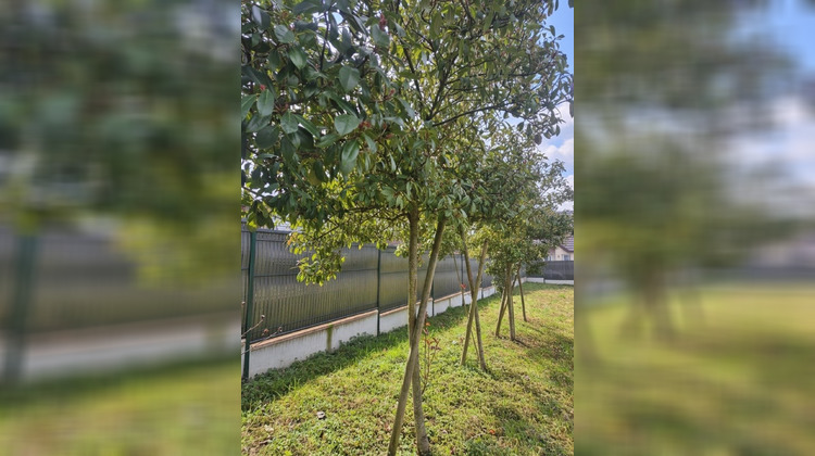 Ma-Cabane - Vente Terrain Heidwiller, 351 m²