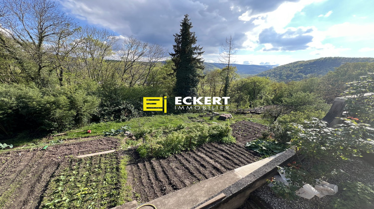 Ma-Cabane - Vente Terrain Heiligenberg, 3708 m²