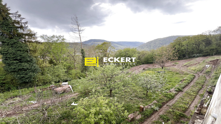 Ma-Cabane - Vente Terrain Heiligenberg, 3708 m²
