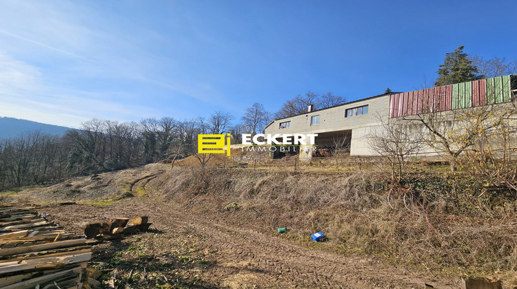 Ma-Cabane - Vente Terrain Heiligenberg, 3708 m²